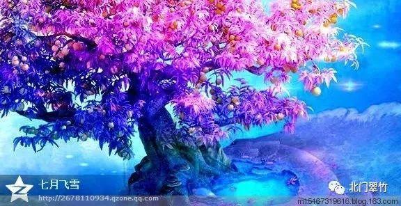 深入了解win7频繁断网解决方法,尽在知识星球平台